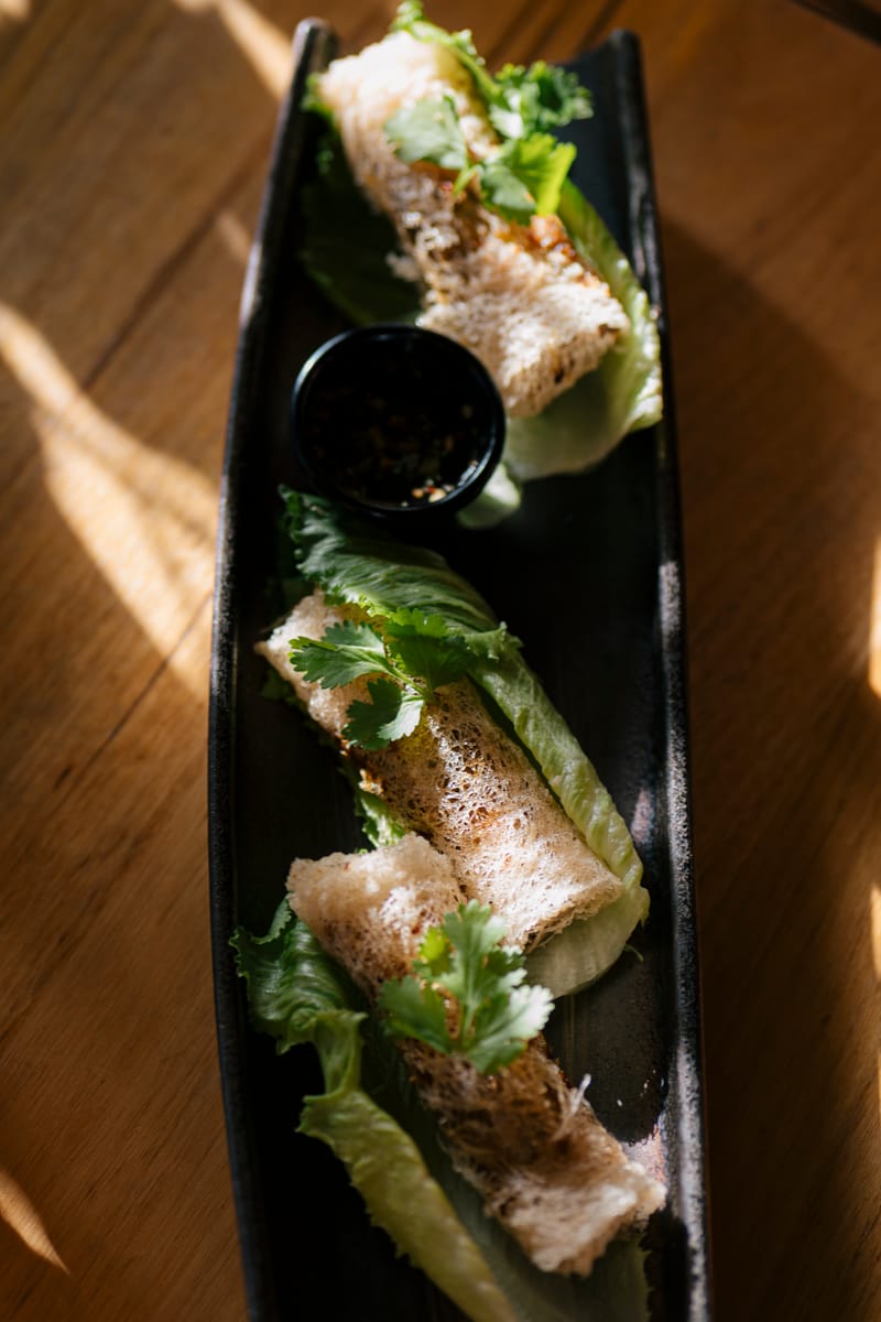 Handmade netted spring rolls